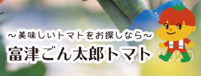 白石農園〜美味しい野菜を食卓へ【公式サイト】