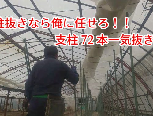 支柱抜きまくり